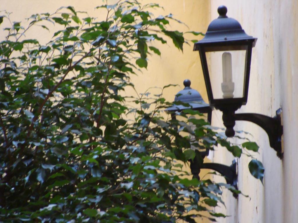 Hotel Bolivar Buenos Aires Zewnętrze zdjęcie